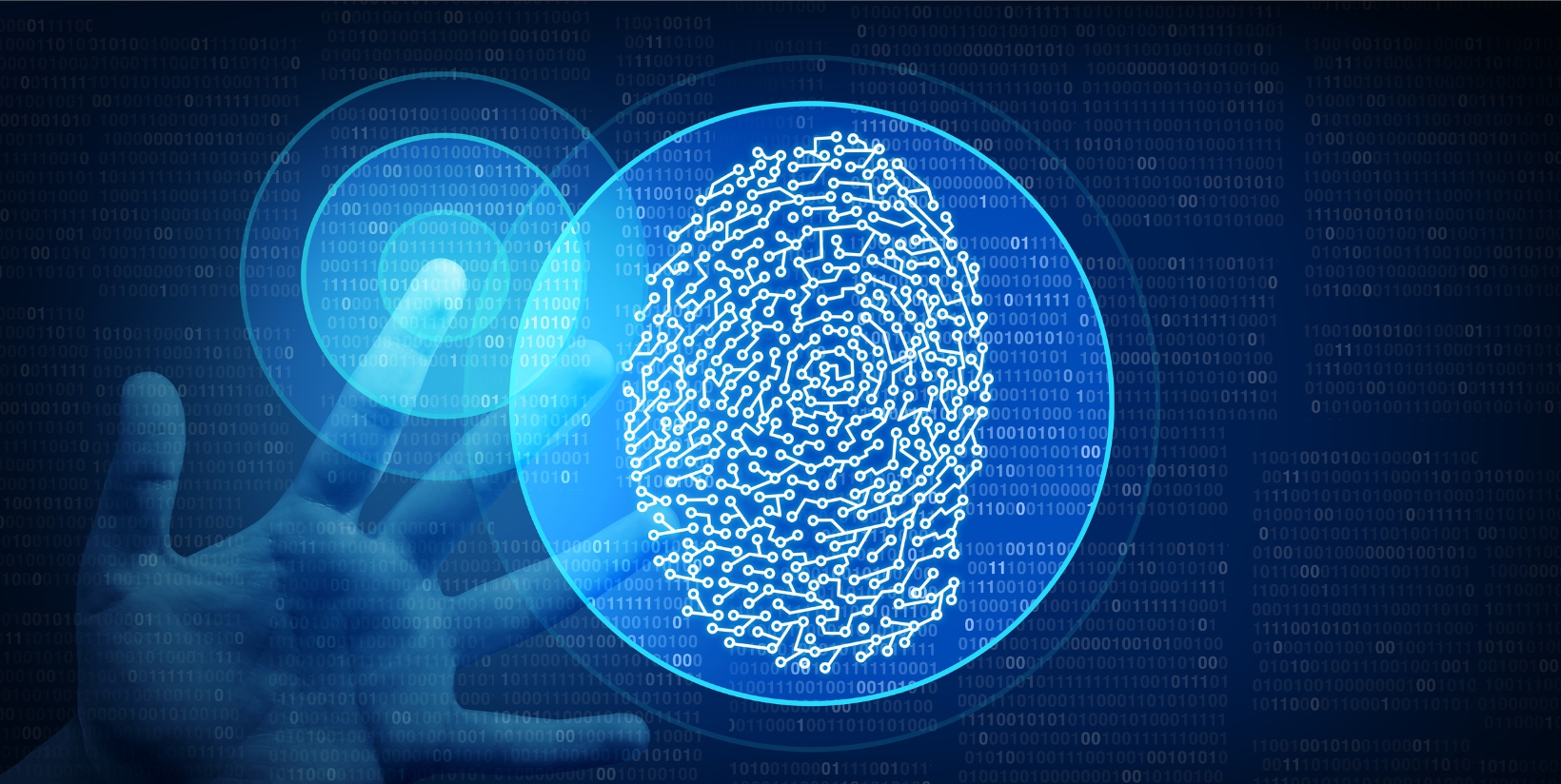 Nowe zasady weryfikacji tożsamości w Companies House